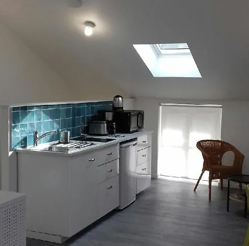 Studio Renove Et Equipe 2 Personnes Le Canardeau